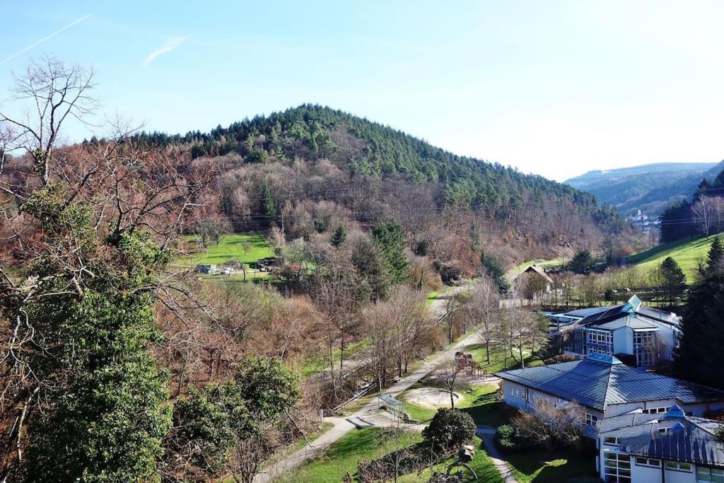 Apartment With Panoramic Views In The Black Forest Gernsbach Ngoại thất bức ảnh